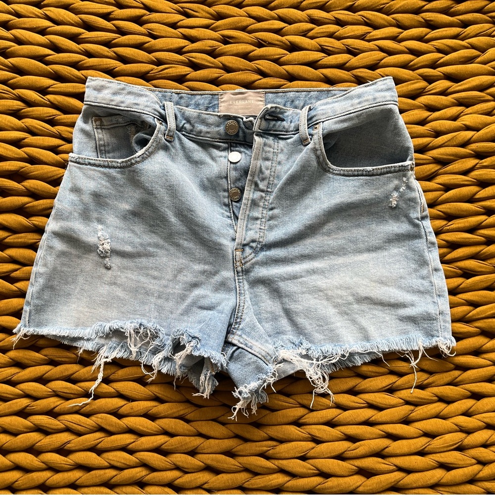 Everlane The Cheeky Short